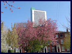 Queen Square, The Plaza